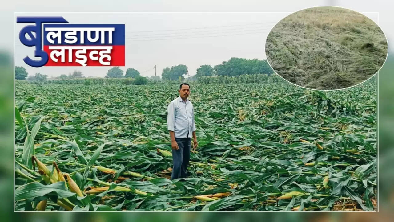 बुलढाणा 