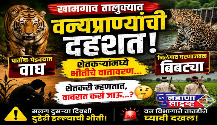खामगाव 
