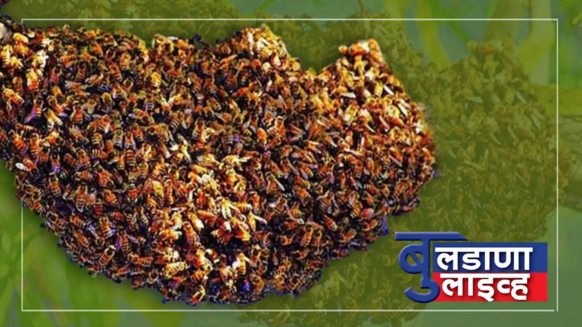 मेहकर 