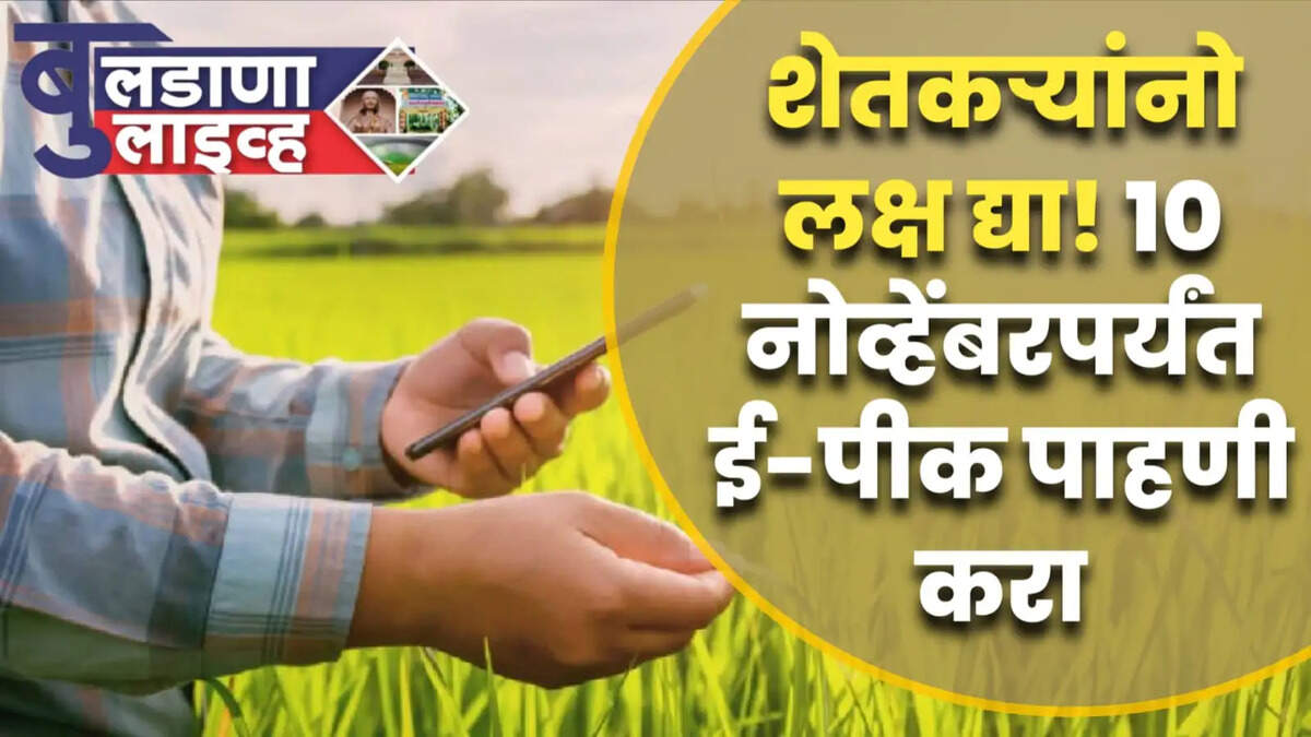 बुलडाणा 