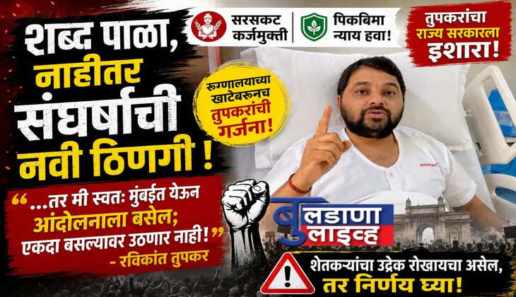 बुलडाणा
