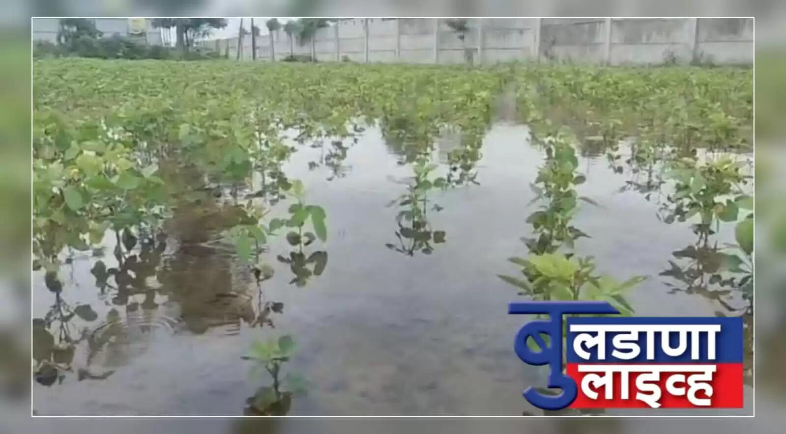 डोनगाव