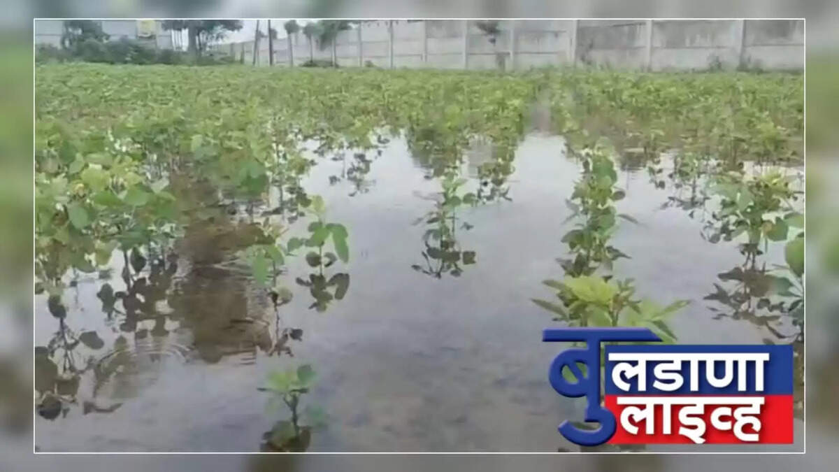 डोनगाव