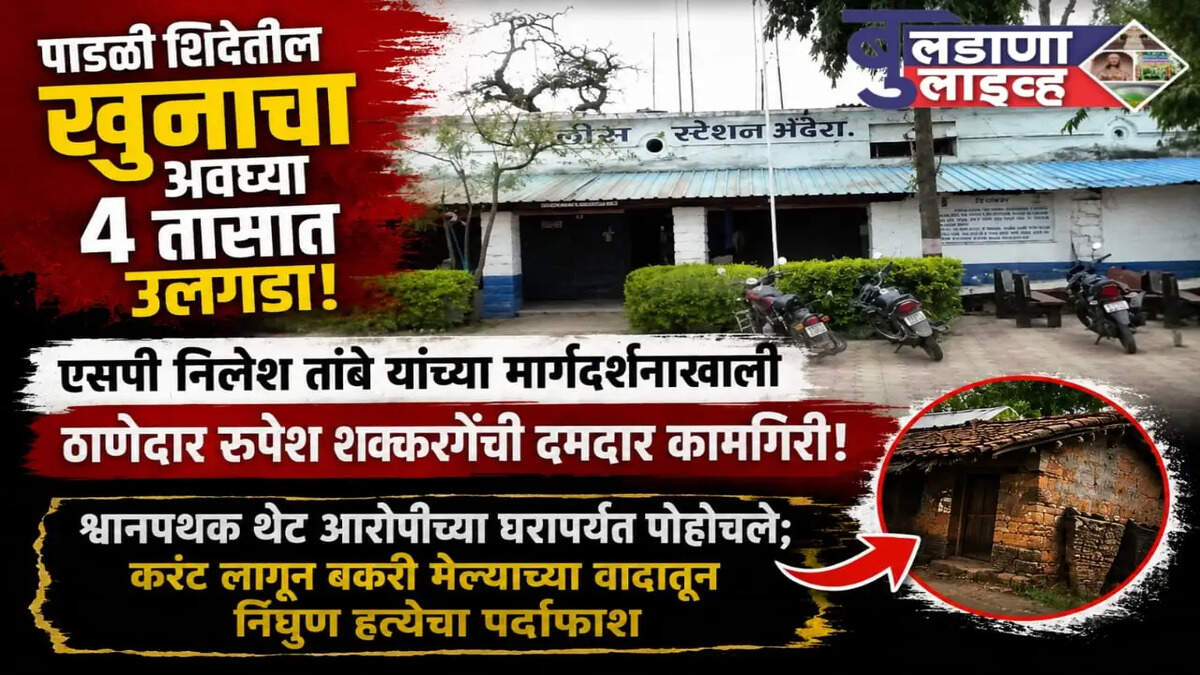बुलडाणा