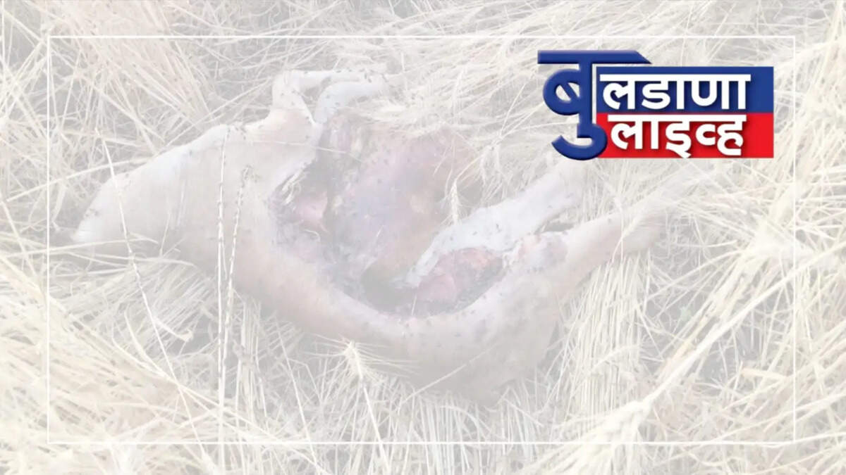 लोणार 