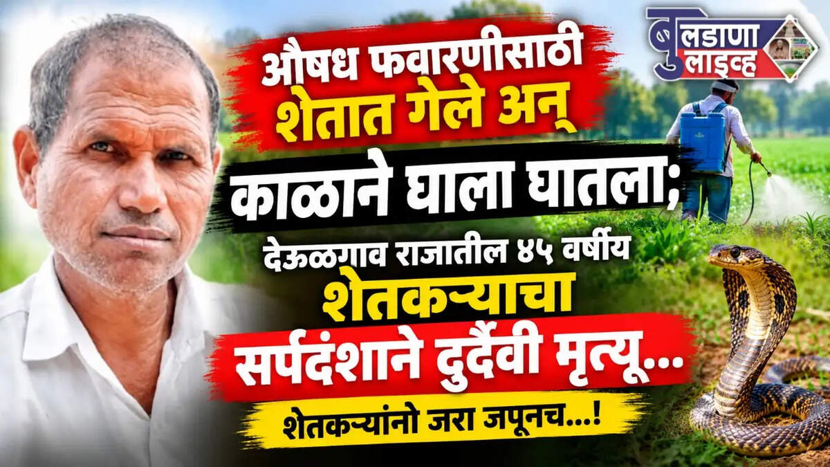 देऊळगाव राजा 