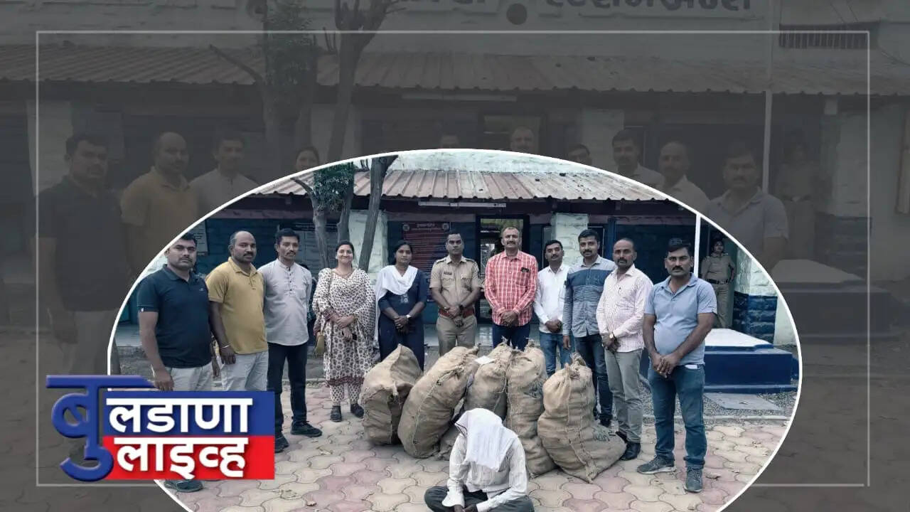 बुलडाणा