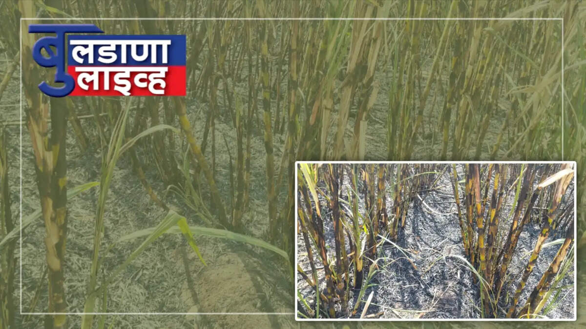 हातनी 