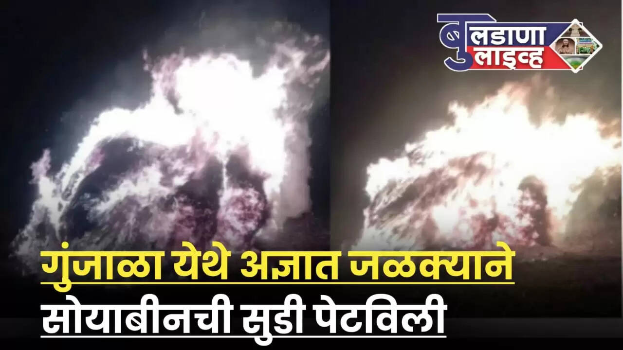 गुंजाळ 