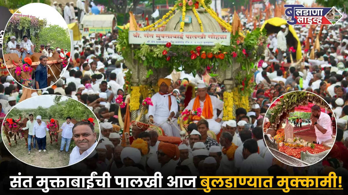 बुलडाणा