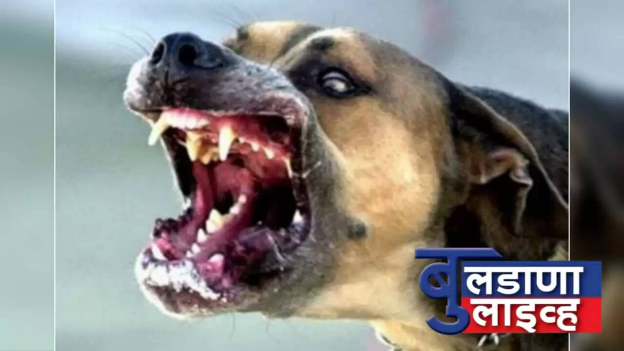 चिखली