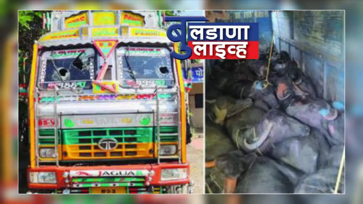 डोणगाव 