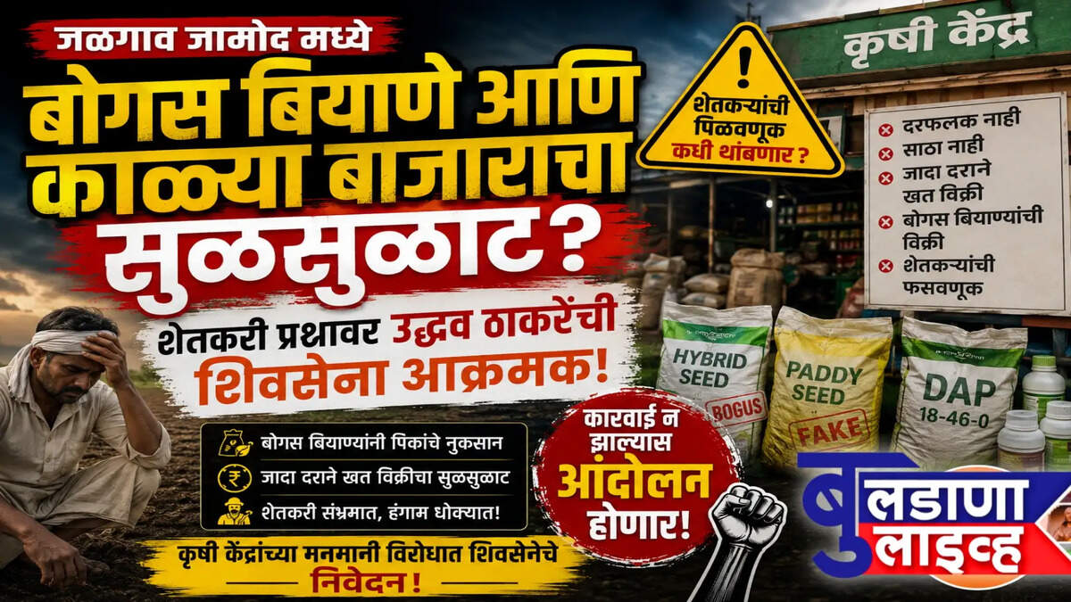 जळगाव 