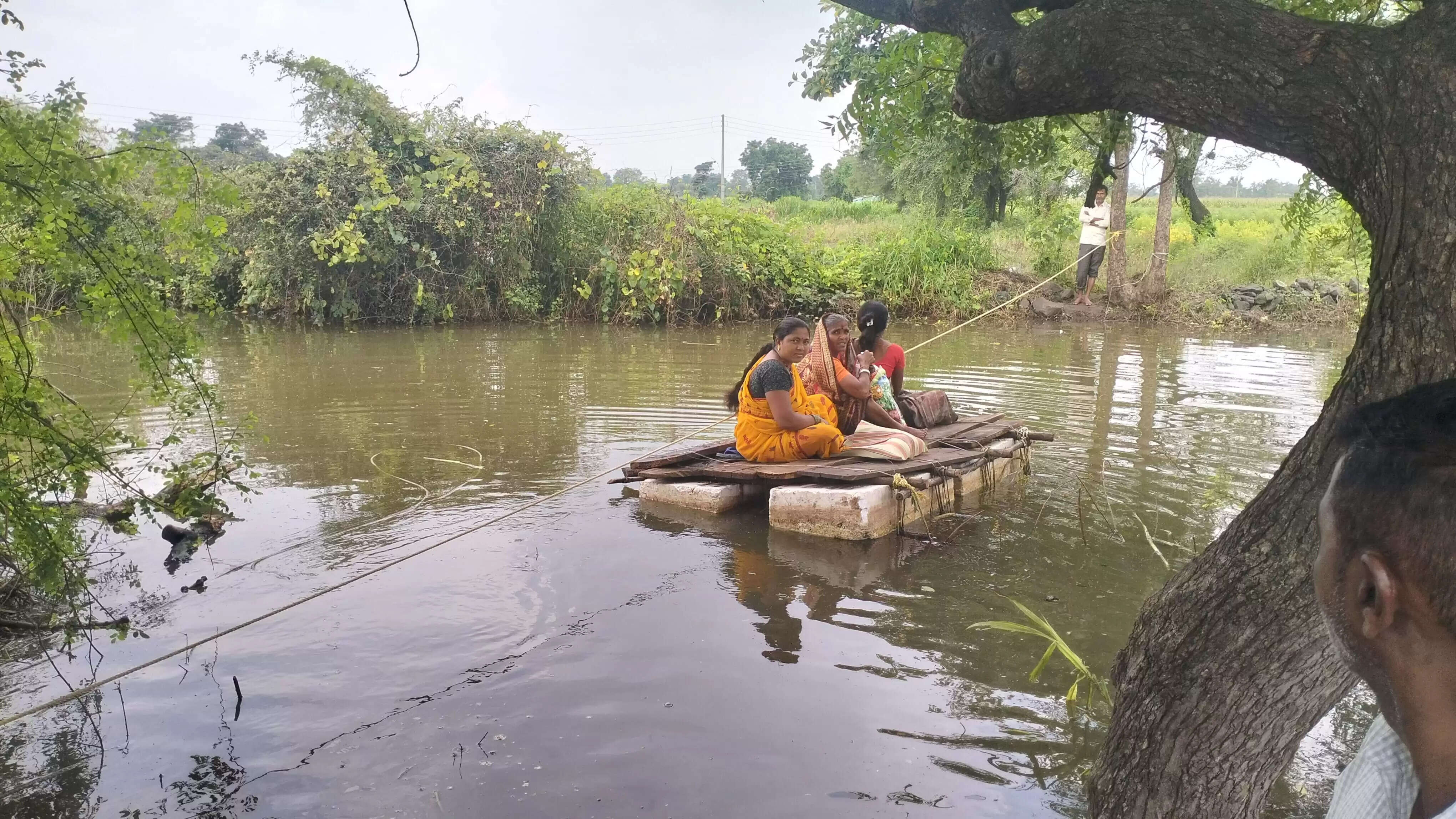 अमोना 