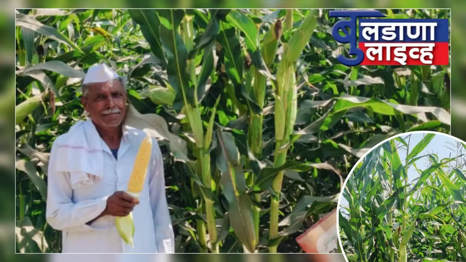 बुलडाणा