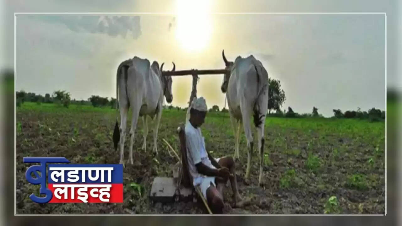 उन्हाळ्यातील