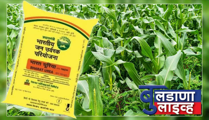 बुलढाणा