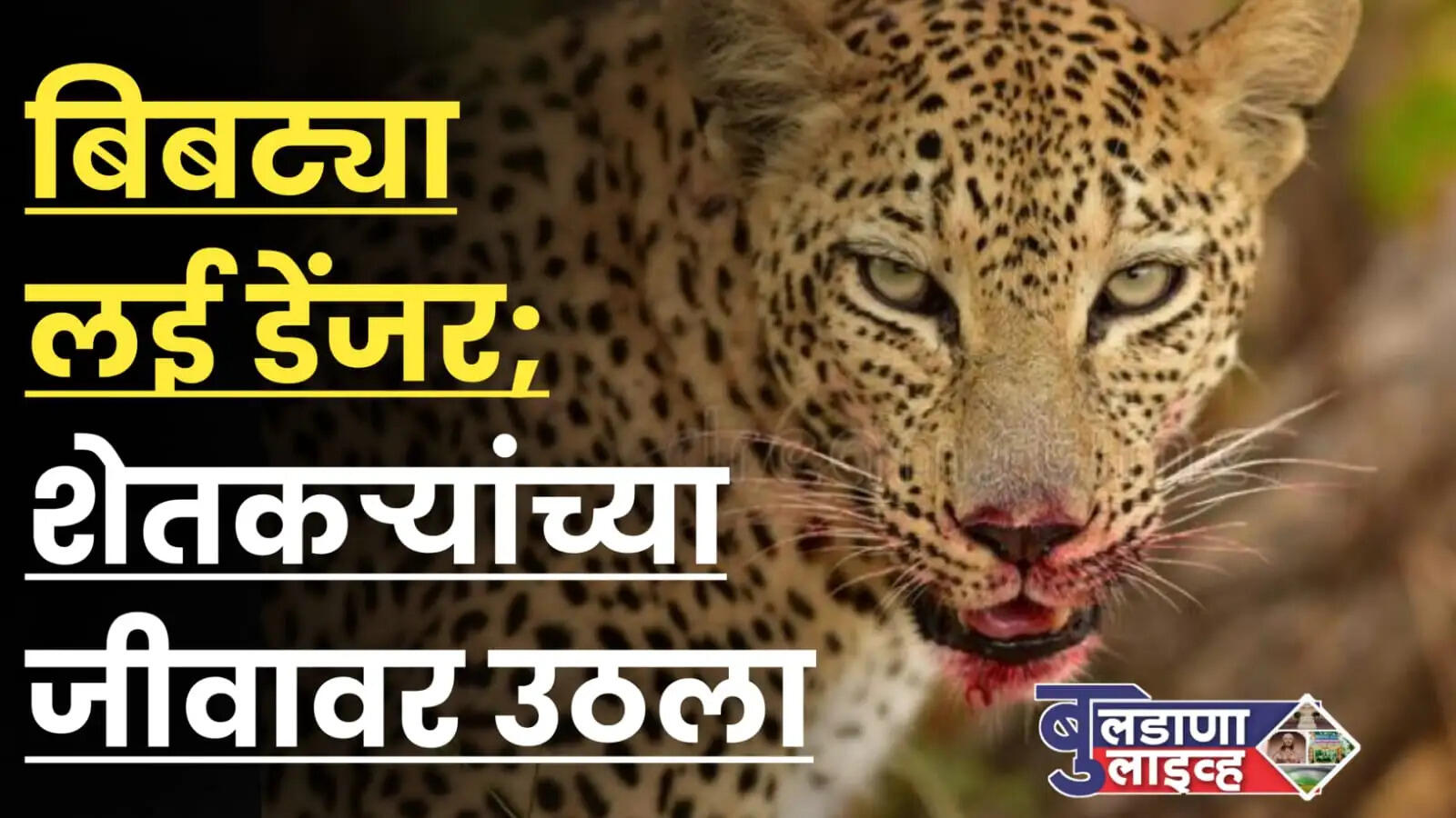 लोणार