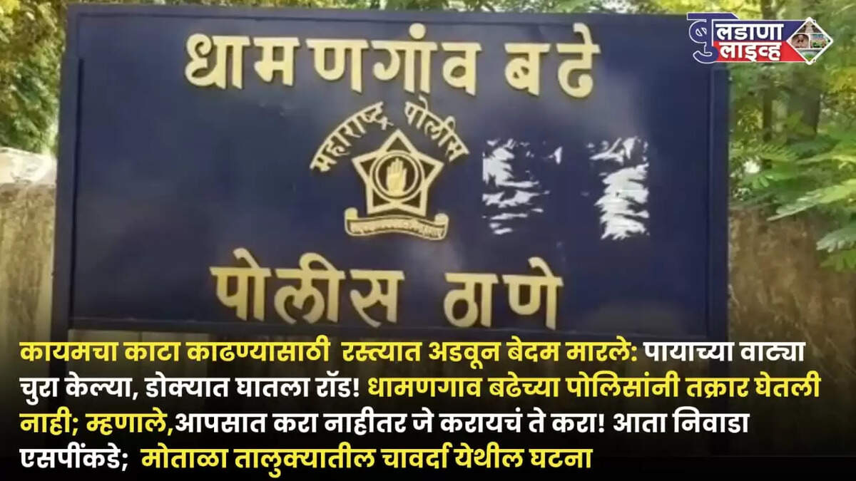मोताळा