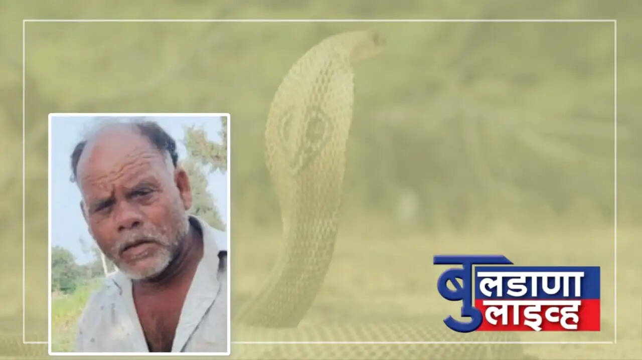 जळगाव जामोद