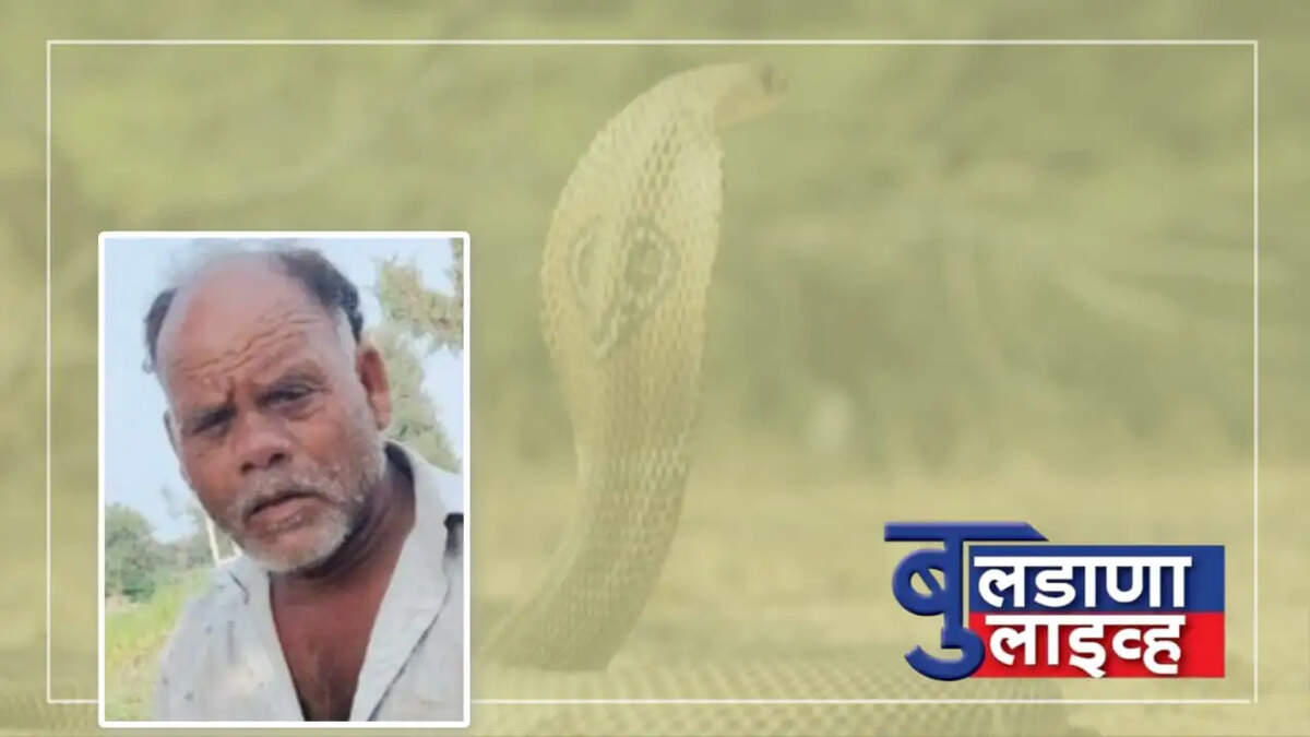 जळगाव जामोद