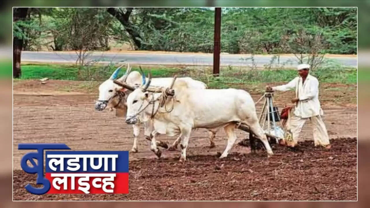 बुलढाणा