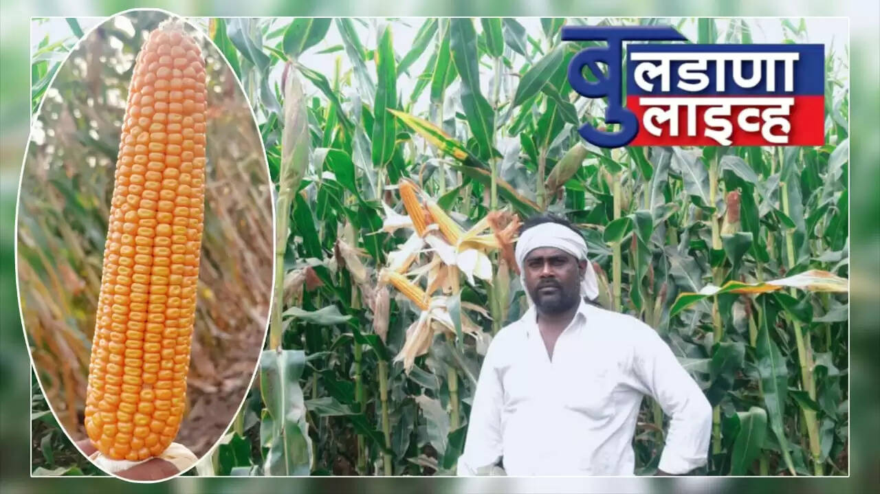 गोदरेज 