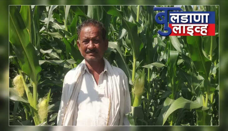 गोदरेज मका 