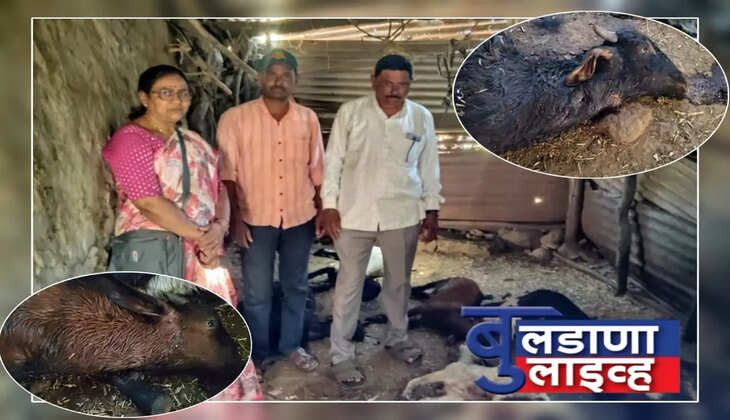 मंगरूळ 