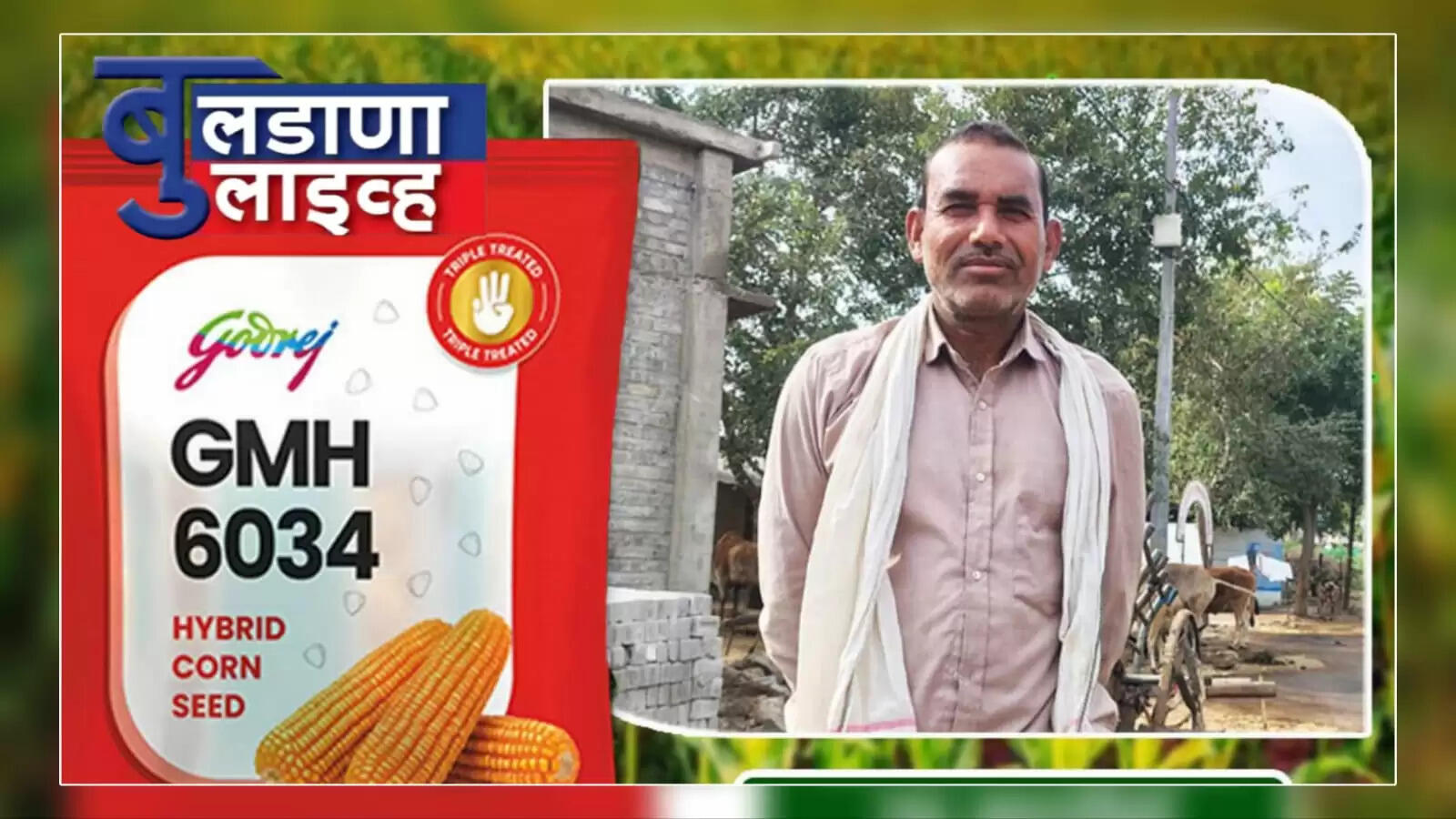 बुलडाणा 