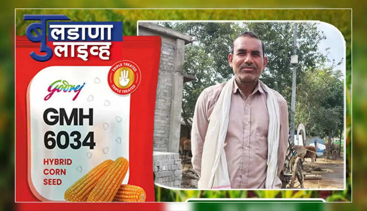 बुलडाणा 