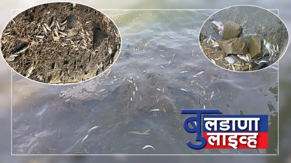 देऊळगावमही 