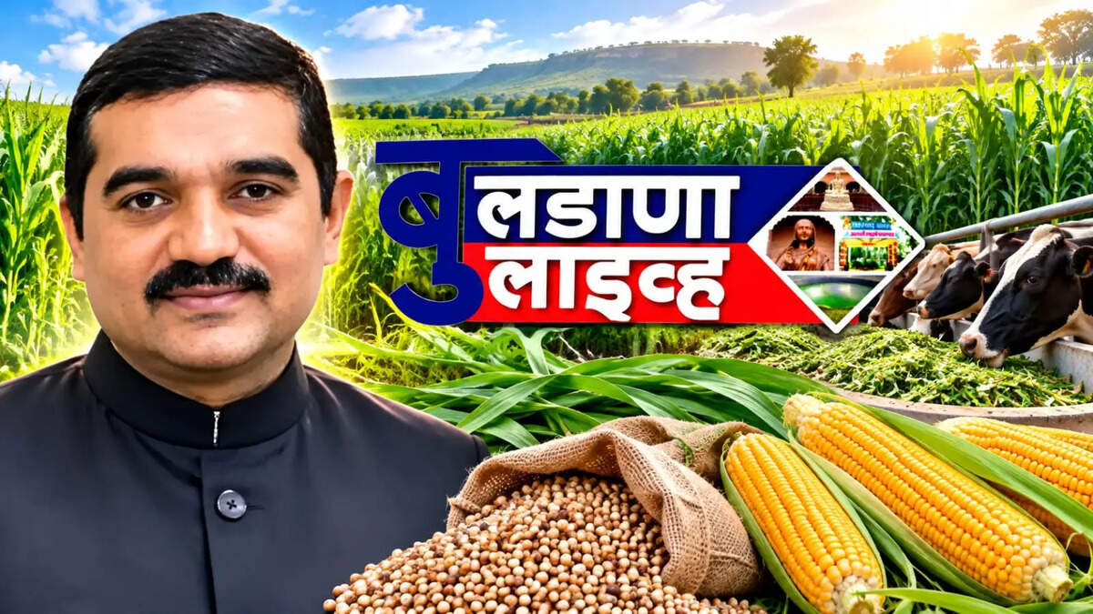 बुलडाणा 