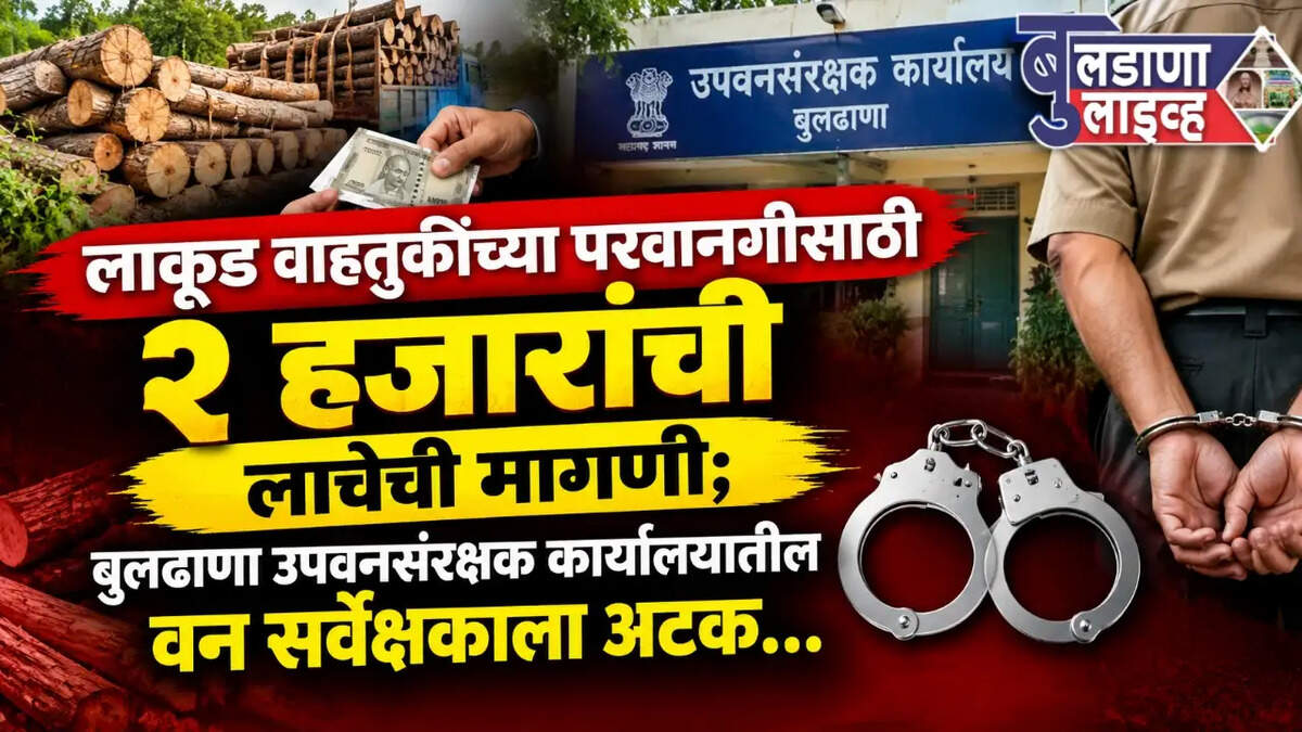 बुलडाणा 