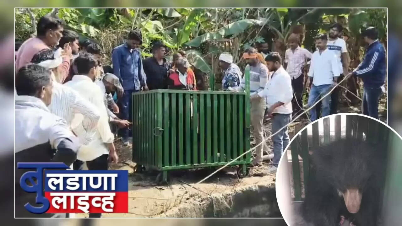 बुलढाणा