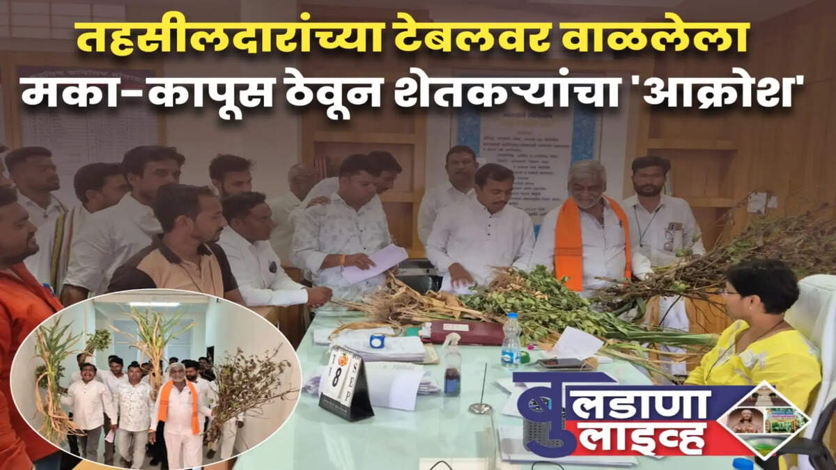मोताळा
