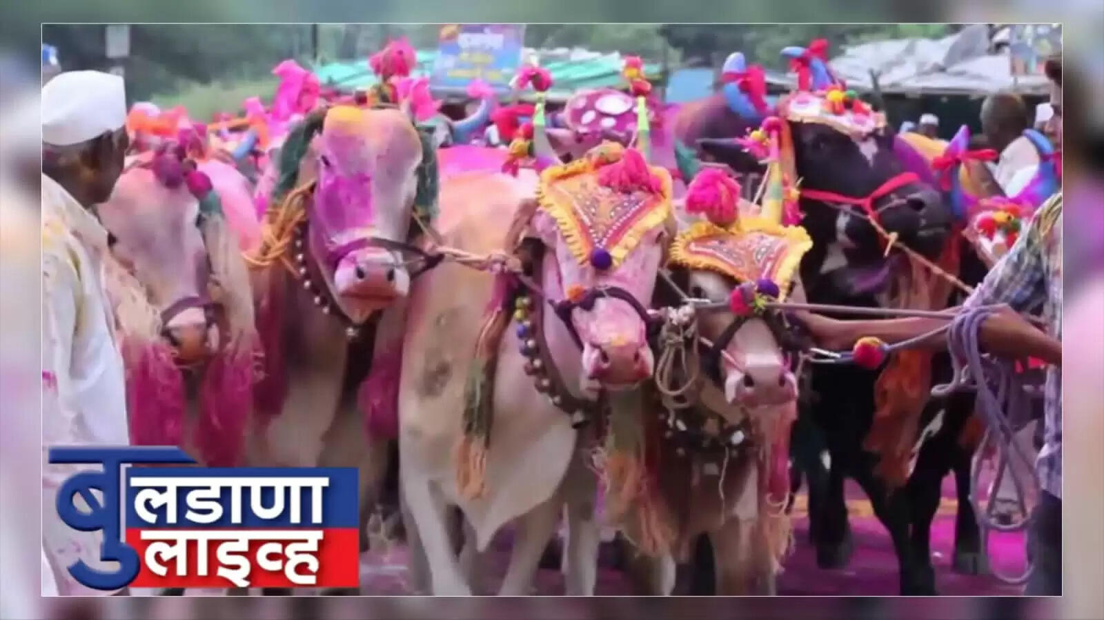 पोळा