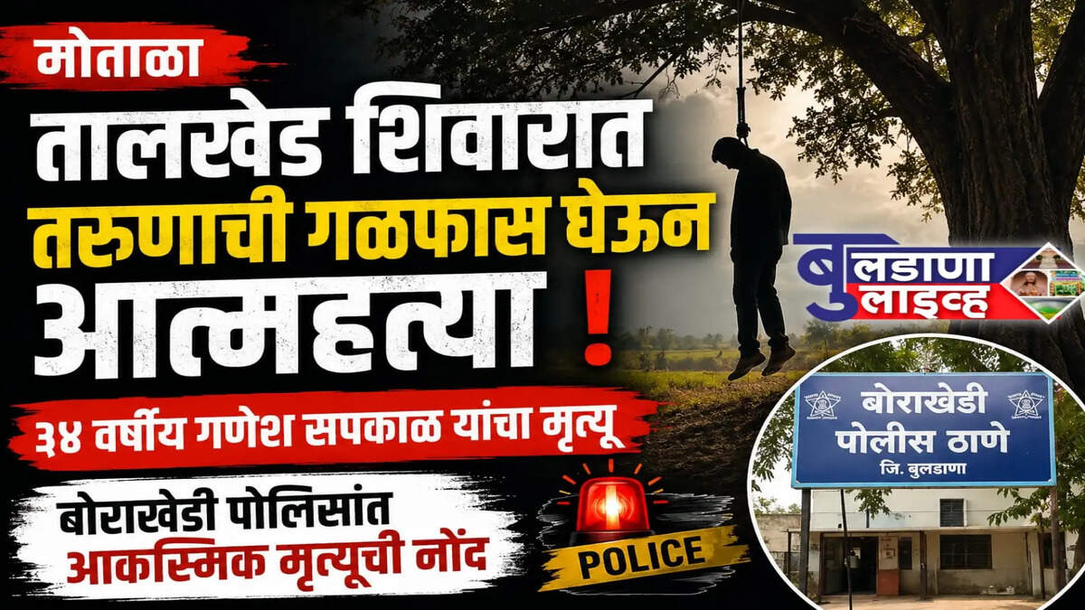 मोताळा 