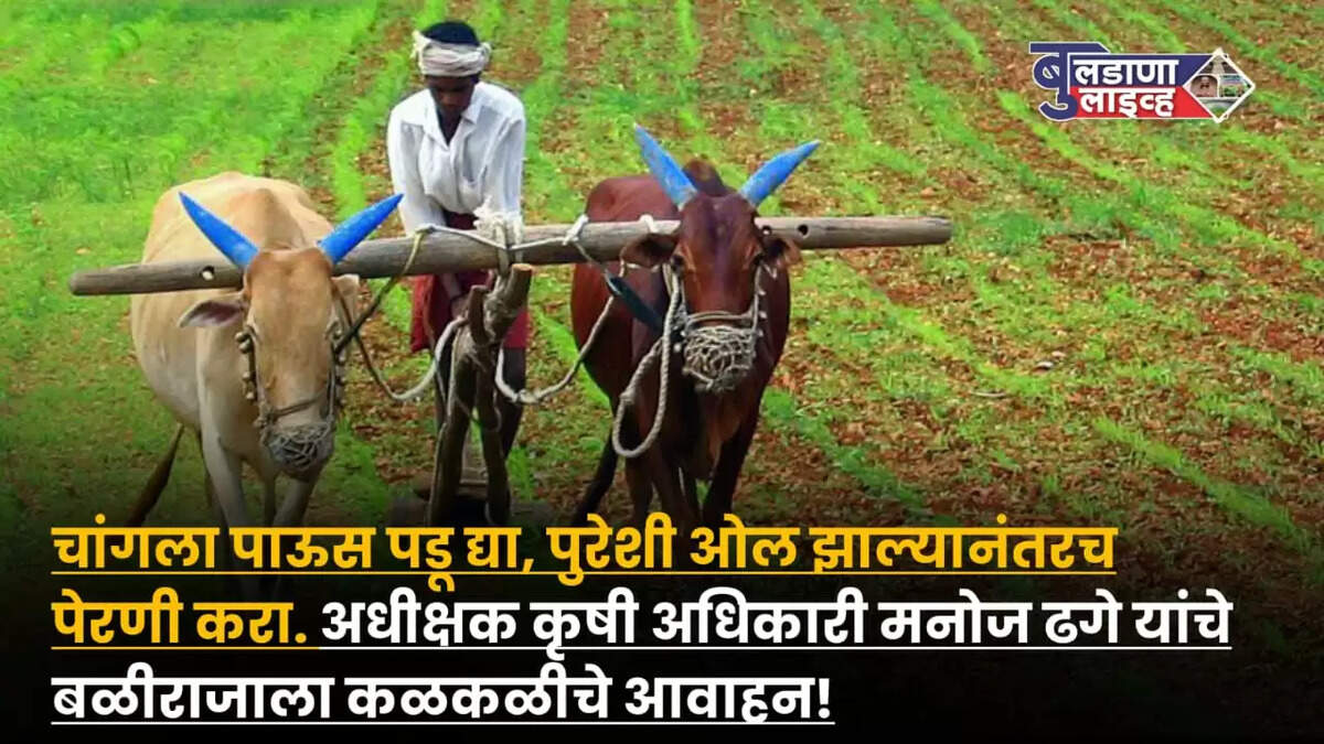 बुलढाणा