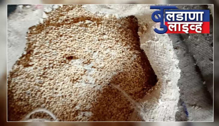 डोणगाव
