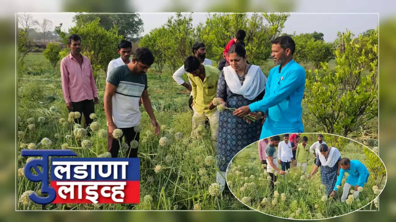 तुपकर 