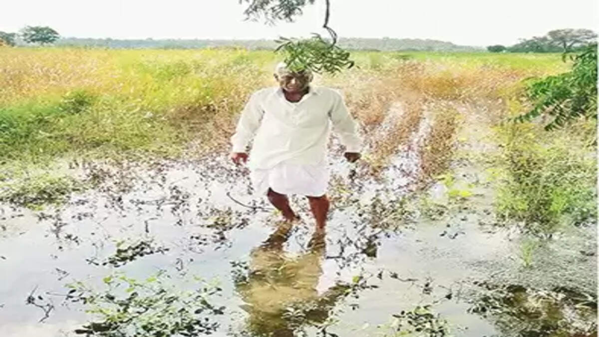 shetkari