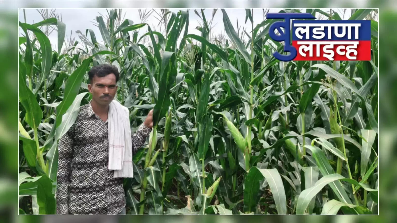 बुलढाणा 