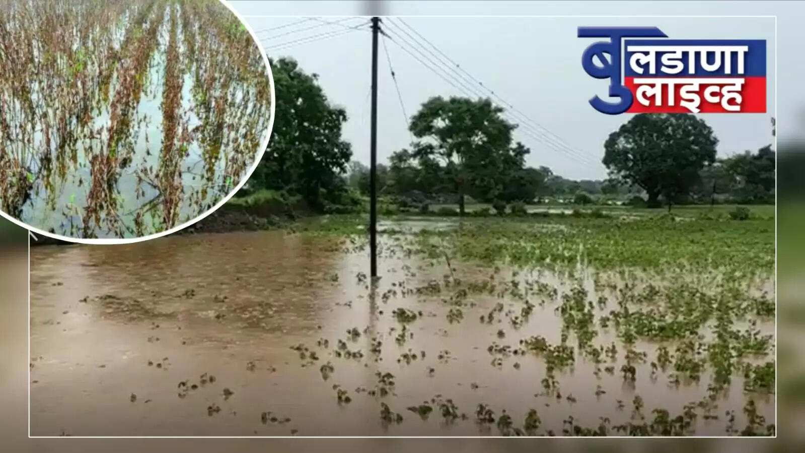 बुलढाणा 