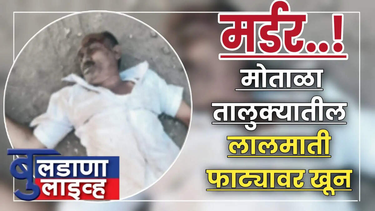 मोताळा