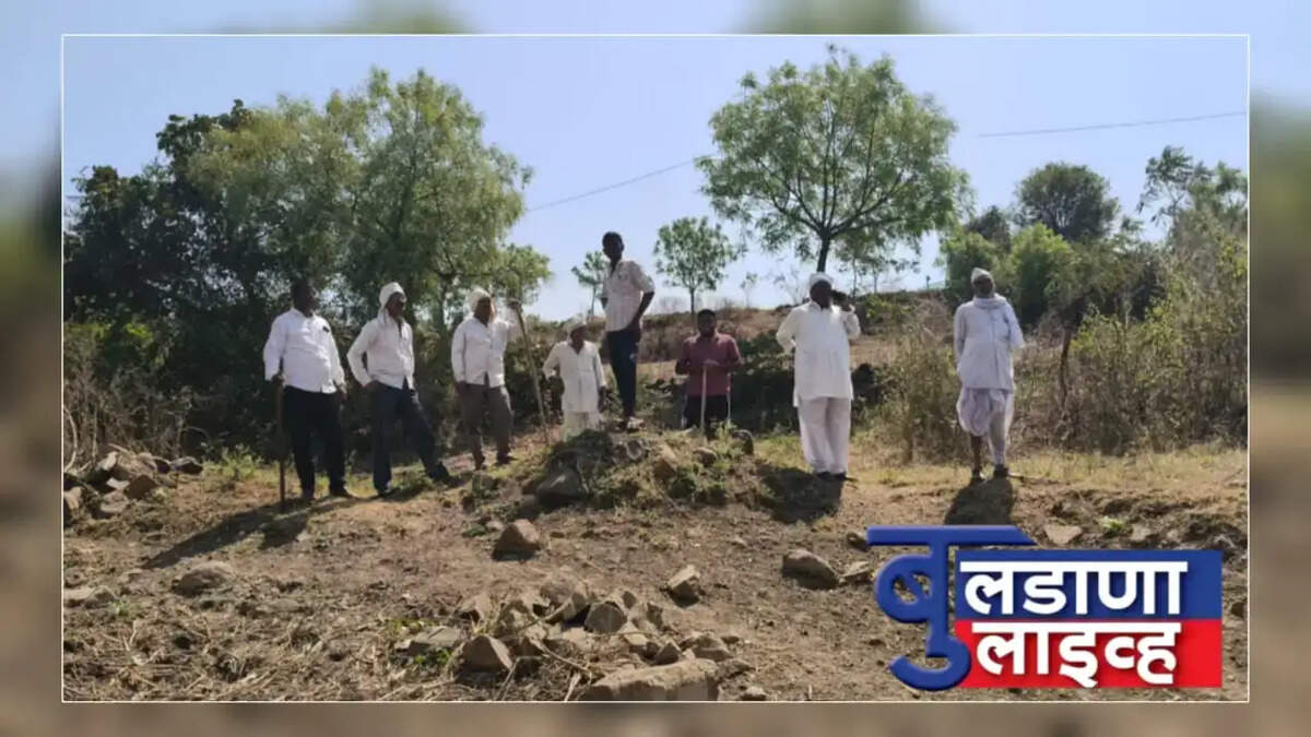 साखरखेर्डा 