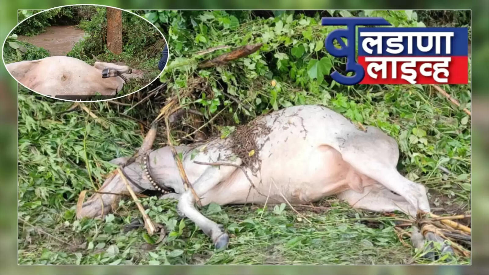 सिदखेड राजा