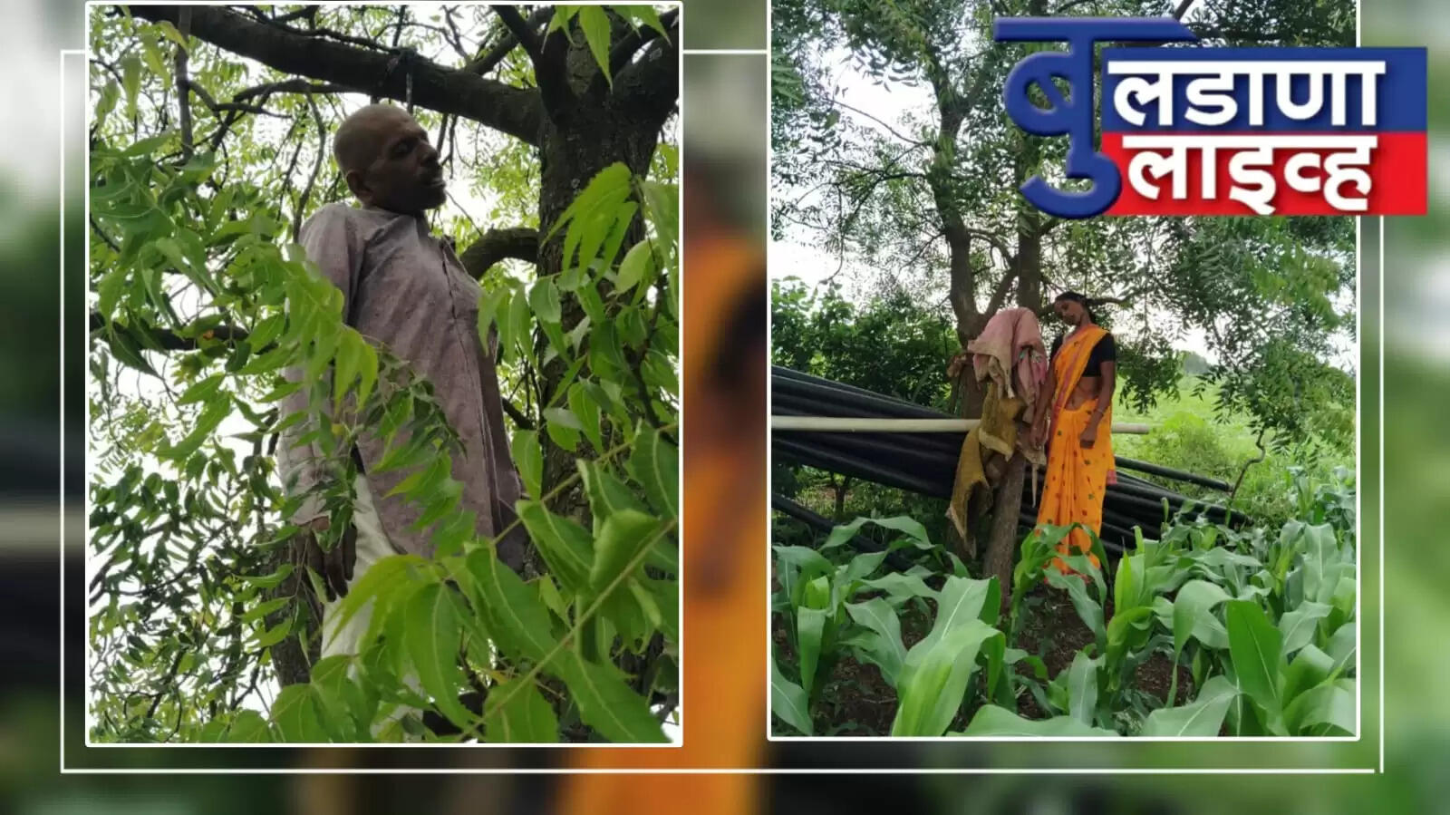 मेरा