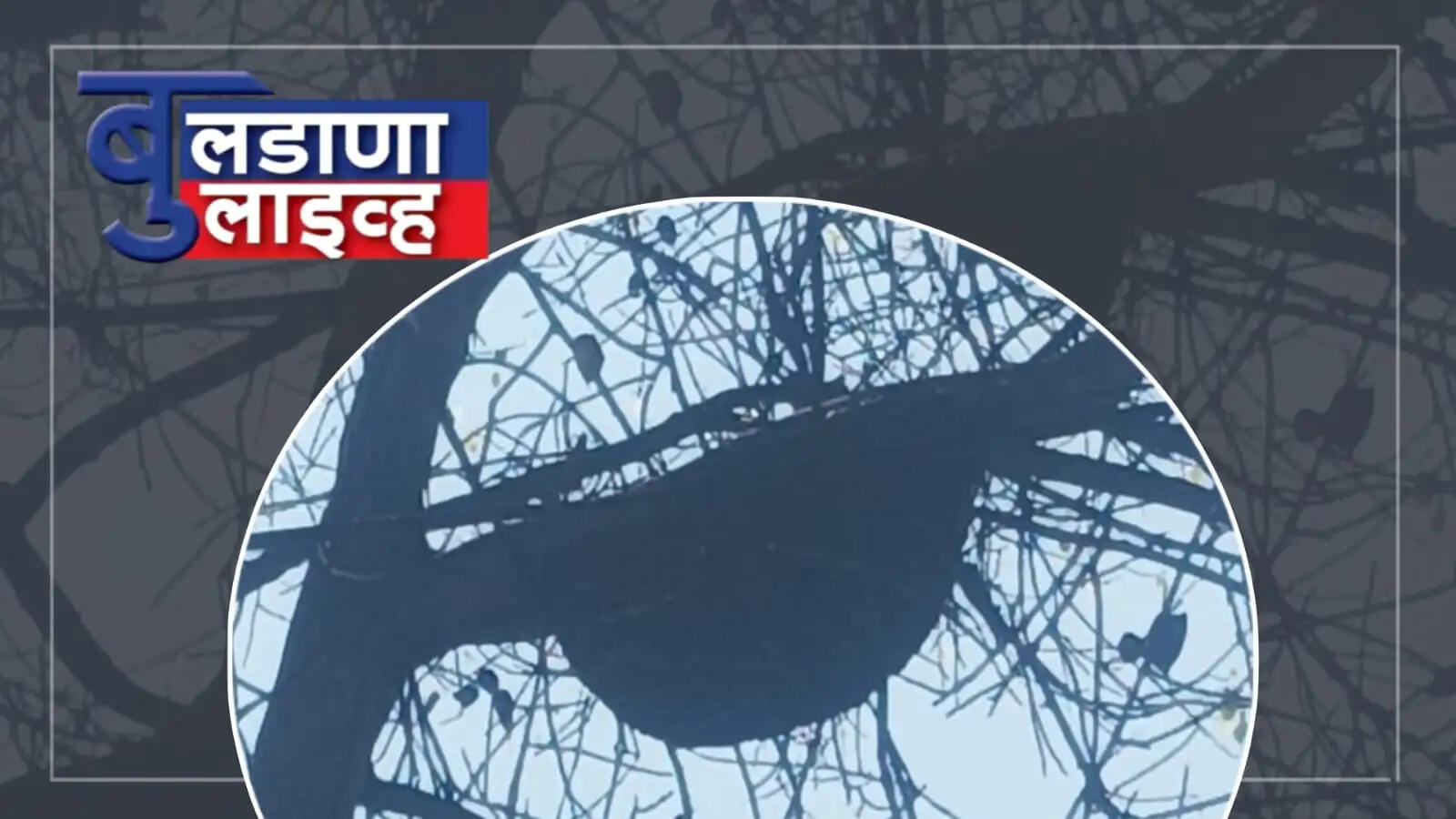 साखरखेर्डा