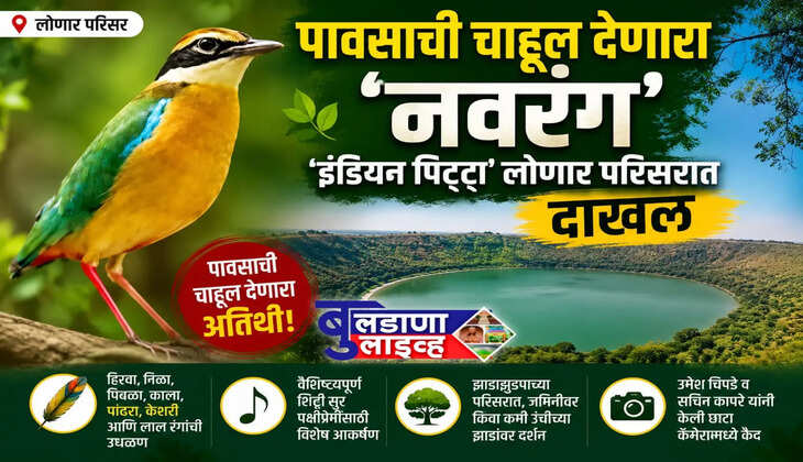 lonar 